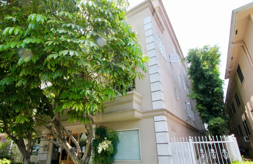 Leafy green tree outside apartment building at the Haverhills Beverly Center
