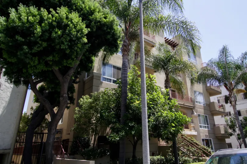 The landscaping around the Williaman Mews