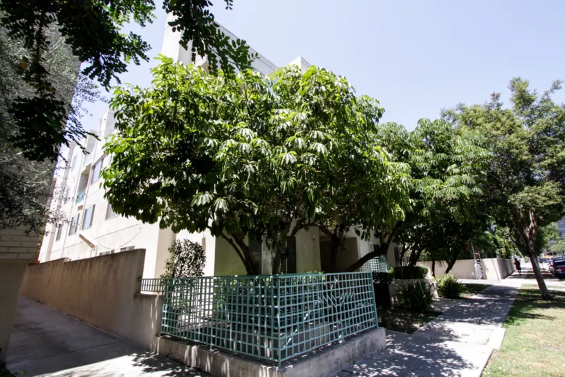 The driveway next to the Willaman Regency in Beverly Center