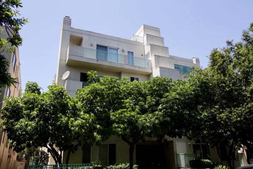 The trees surrounding the Willaman Regency