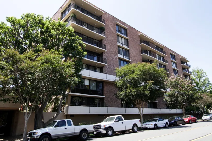 The trees that are seen around 211 Spalding in Beverly Hills