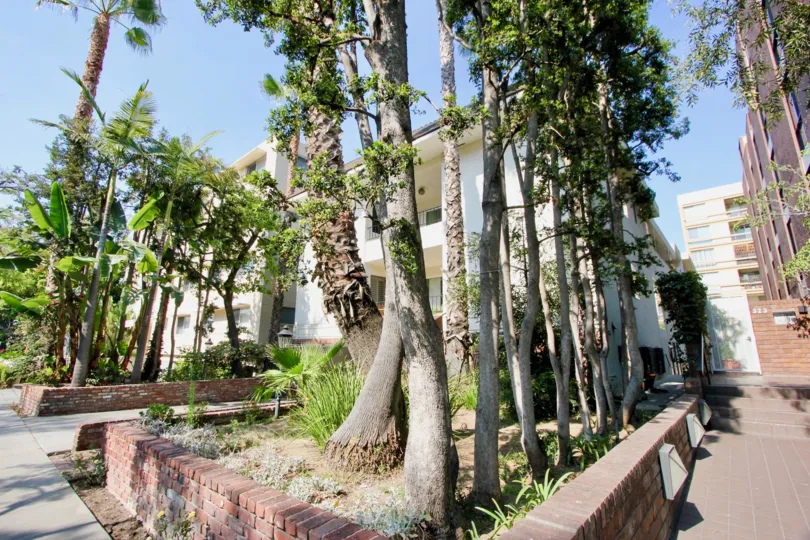 A Sunny day in 321 N Palm Dr with the long Trees and buildings