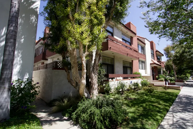 The landscaping around 330 S Reeves in Beverly Hills
