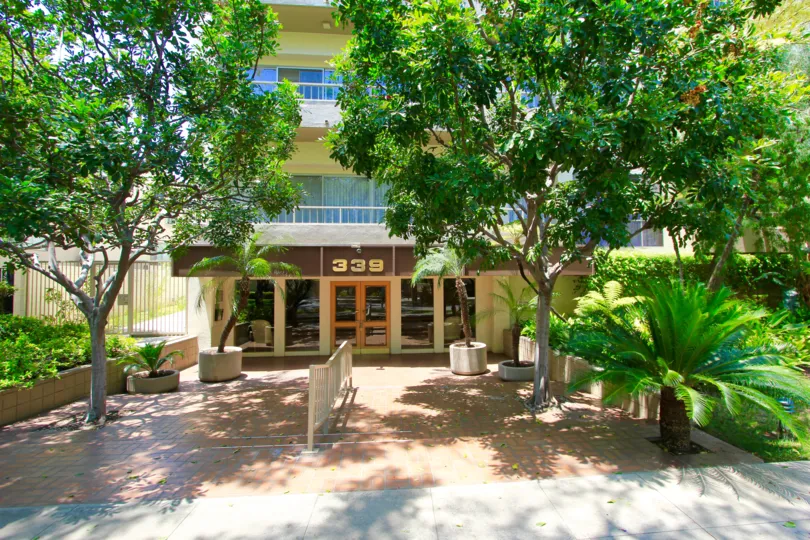 The building at 339 N Palm Dr in Beverly Hills