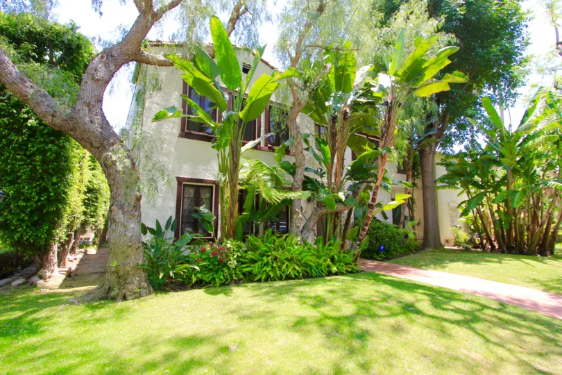 The landscaping at 340 N Oakhurst in Beverly Hills