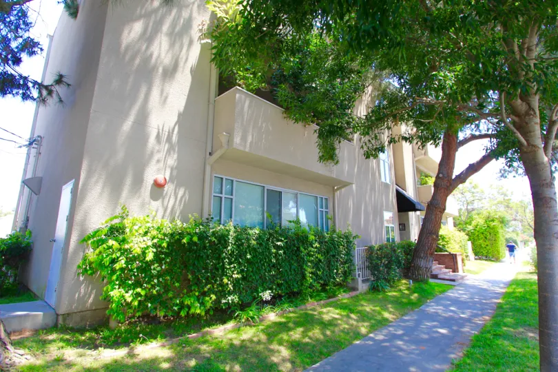 The landscaping seen around 370 S Elm in Beverly Hills