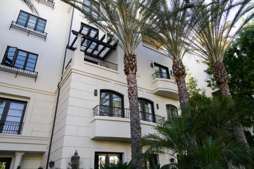 The palm trees seen around 443 N Palm Dr