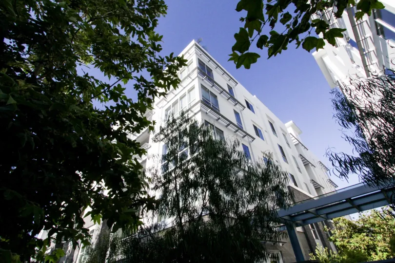 The view of 460 N Palm in Beverly Hills