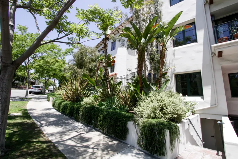 The landscaping seen at Barcelona in Beverly Hills