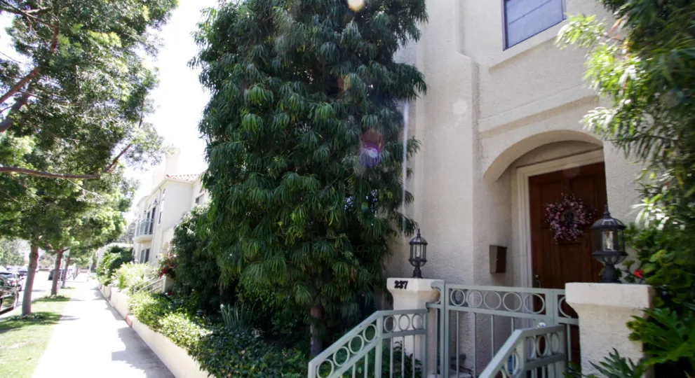 The stairs into the entrance of the Beverly Young in Beverly Hills