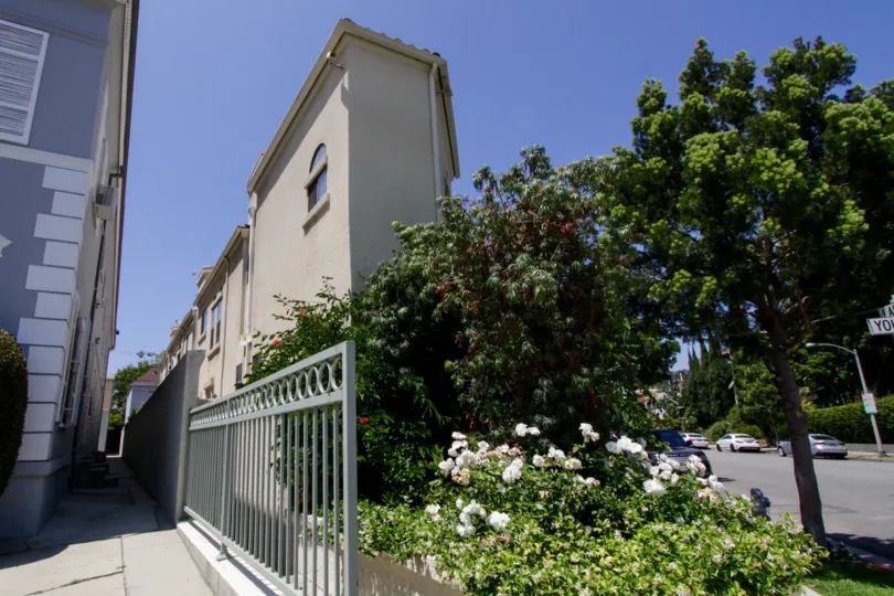 The landscaping of the Beverly Young