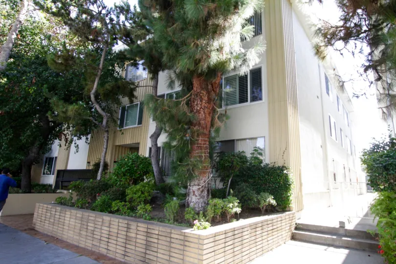 The landscaping around the Clifton Terrace in Beverly Hills