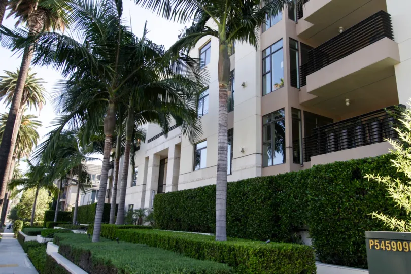 The hedges around La Terrasse in Beverly Hills