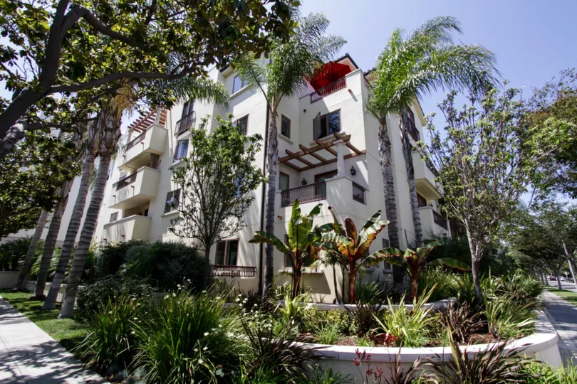 The landscaping seen around Maison Reeves in Beverly Hills