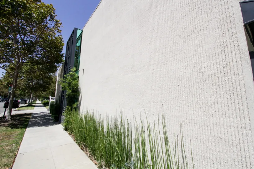 The greenery seen around the walls of McCarty Courtyard