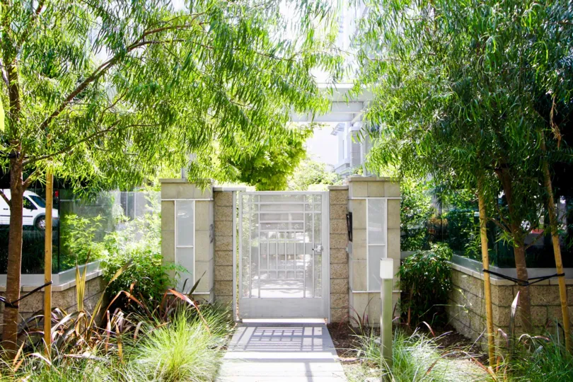 A sunny tree lined walkway to a gated entrance at Palm Condominiums.