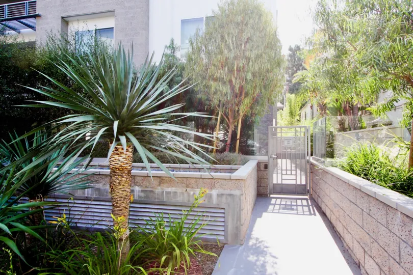many trees and plants in front of a home in Palm Condominiums