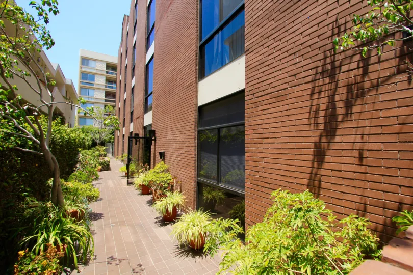 The windows in Palm Terrace in Beverly Hills