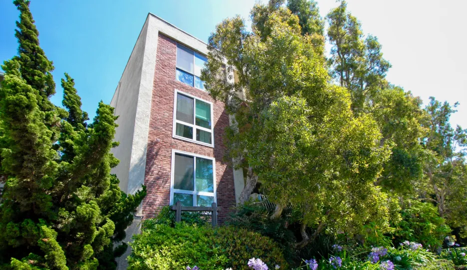 THE BIG BUILDING IN BACK OF THE TREES IN CALIFORNIA