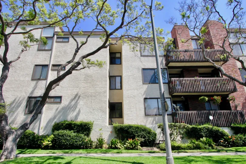 large trees in front of apartments and buildings in California
