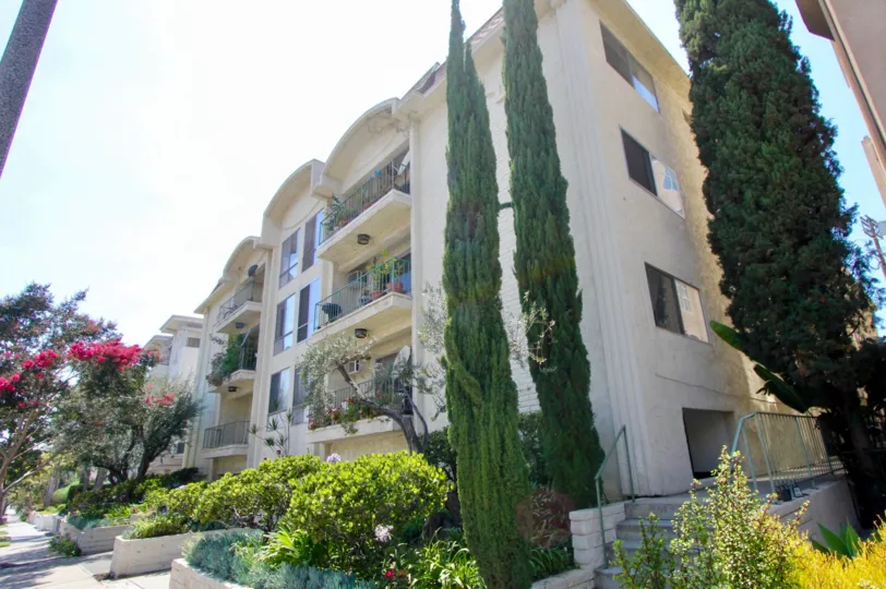 Creamy high rise and pine trees of Chateau Brentwood, Brentwood, California