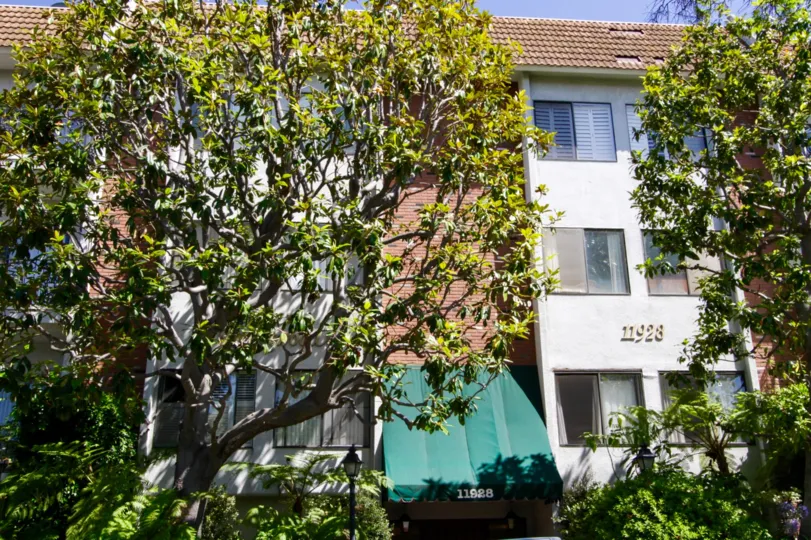 Large trees cover the front of Elegance Kiowa