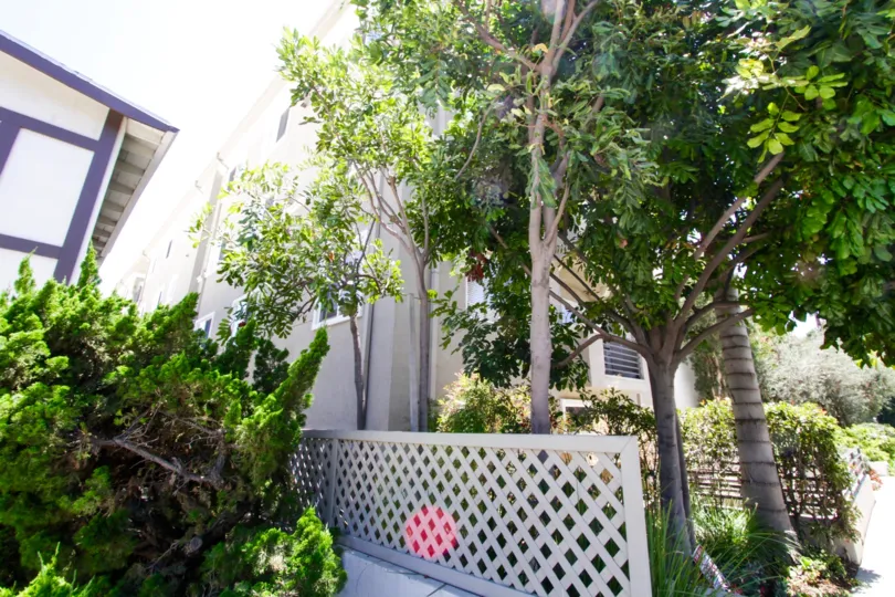 Mature trees cover the Gorshen Avenue Condos property