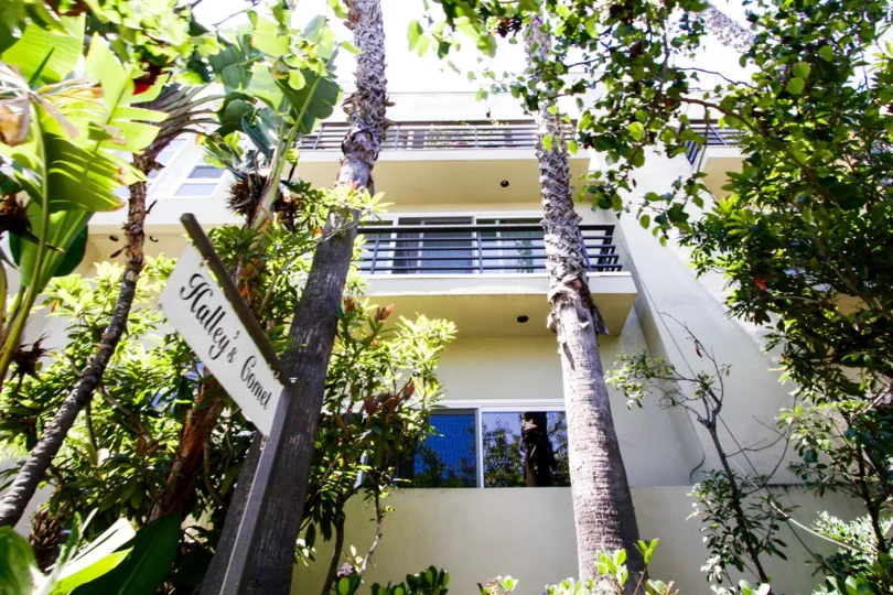 Through the foliage stands the Halleys comet Condos