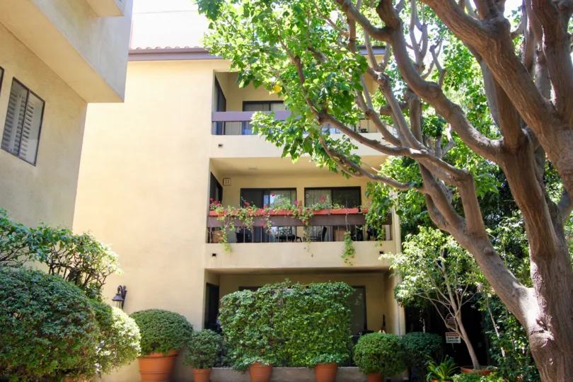 A sophisticated nature house to live with your family in le provencal Brentwood california