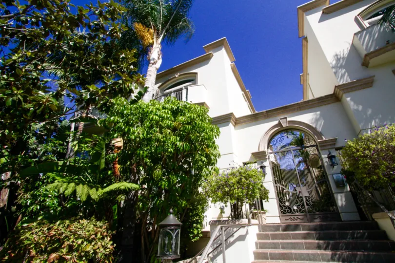 Lush tropical landscape at the entrance to Mayfield Gardens