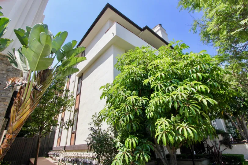 a neat environment and classy green side of Montana Pacifica, brentwood, California