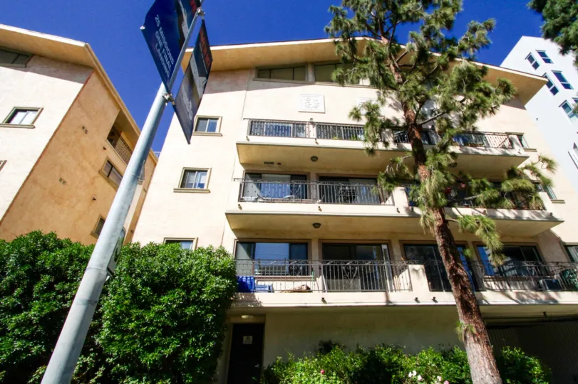 A pine tree stands in the front of the Brentwood Villas property