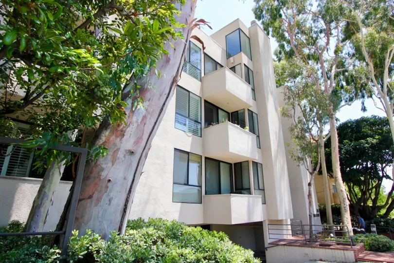Modern apartment complex with windows, balconies, and abundant trees and greenery
