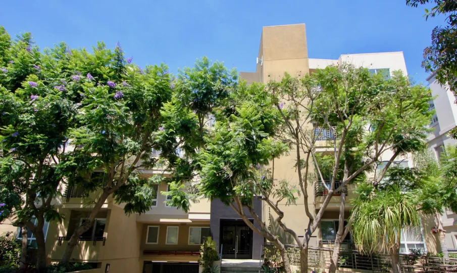 big brown building in California surrounded by many large trees