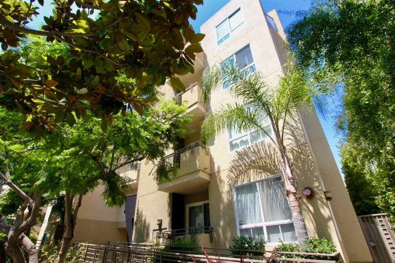 A front view of apartment from the bottom of a Tree in brentwood