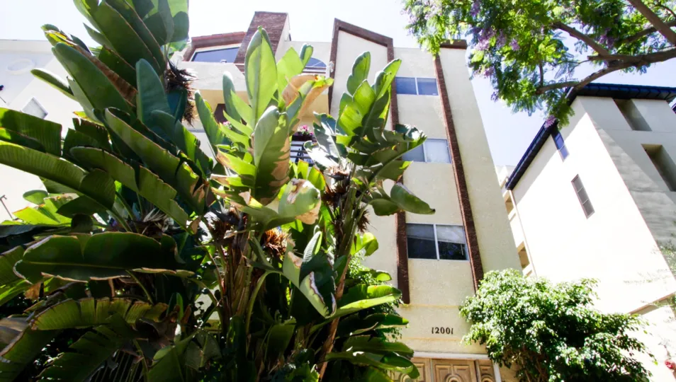 The front of the White Palace building is landscaped with tropical plants