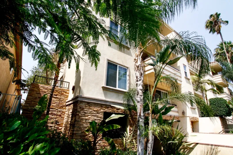 The landscaping at 13 Palms