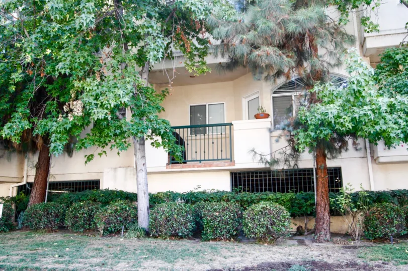 The landscaping around 3003 W Riverside Dr in Burbank Califronia