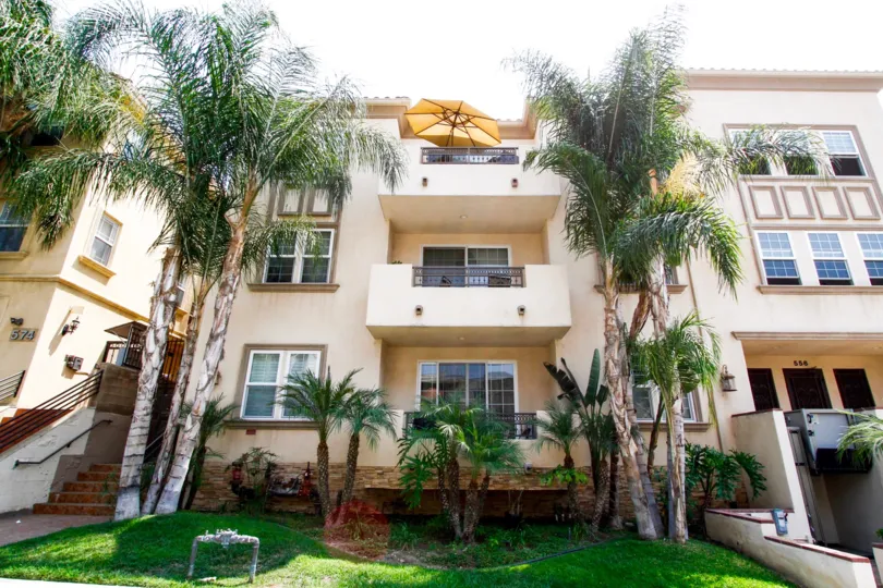 The landscaping around 556 E Palm Ave