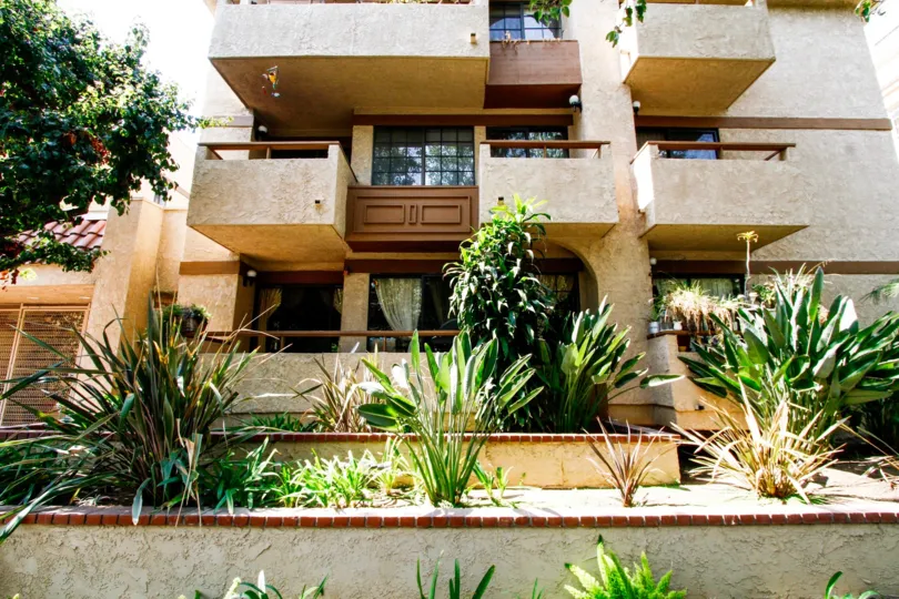 The windows seen throughout Avenida San Jose