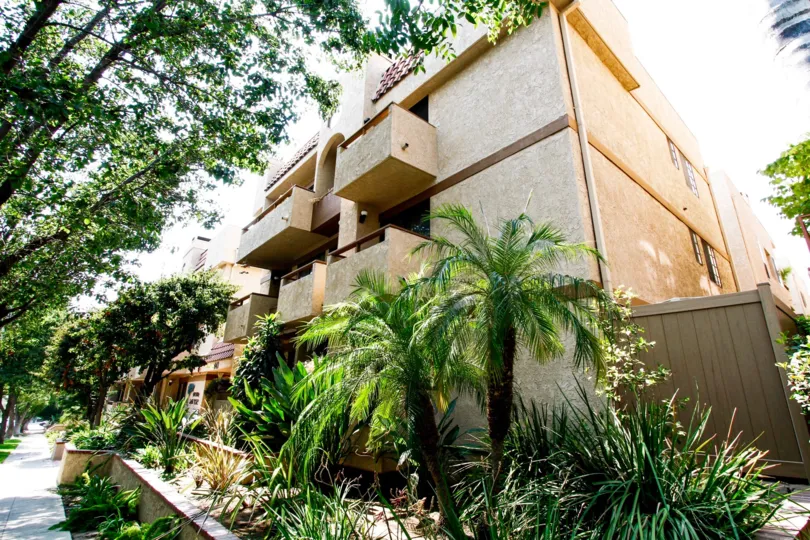 The landscaping around Avenida San Jose