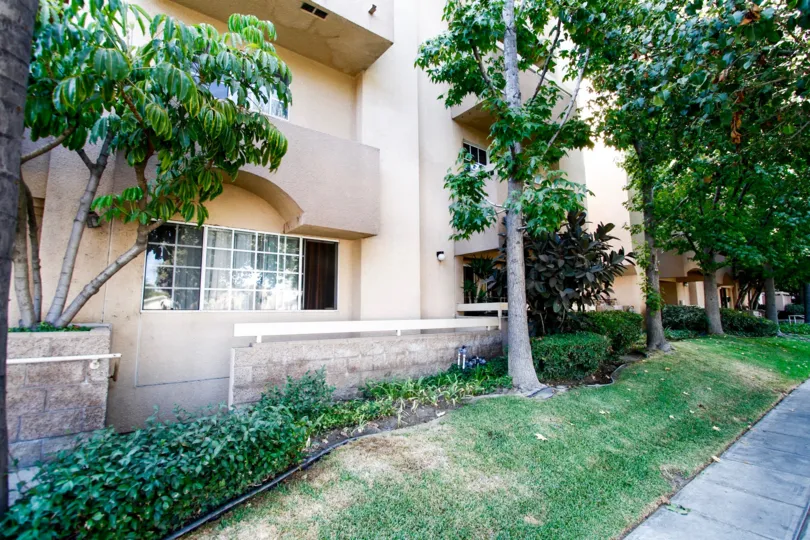 The yard in front of Casa Eva II