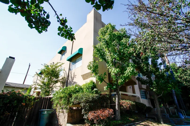 The trees around Casa Eva II