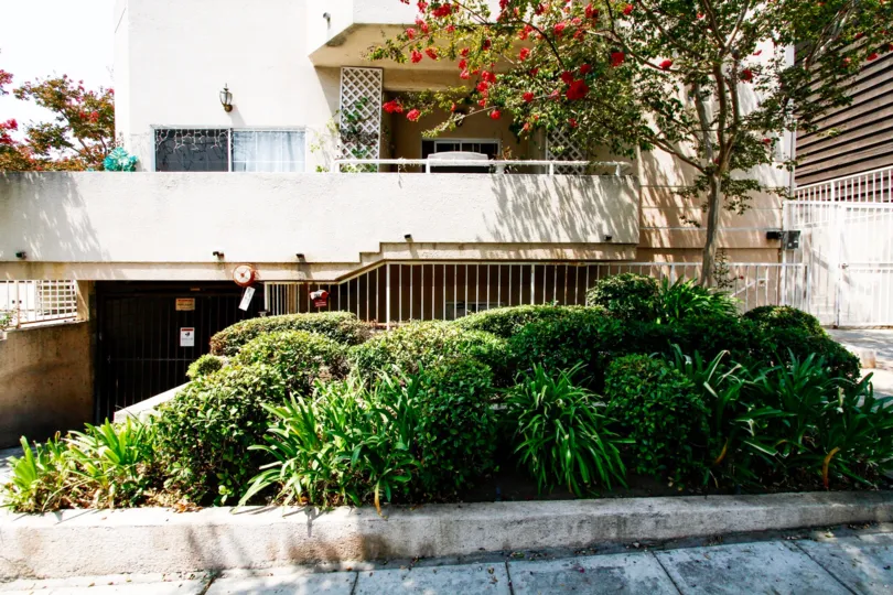 The landscaping around Olive Townhomes
