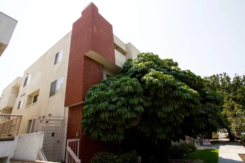 The landscaping at Providencia Gardens