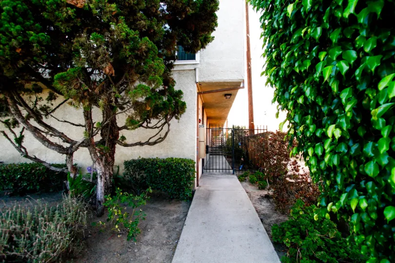 The sidewalk up to the Sunrise Manor in Burbank California