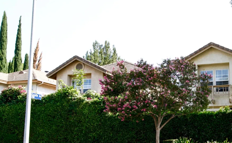 The landscaping seen throughout 20832 Valerio St in Canoga Park California