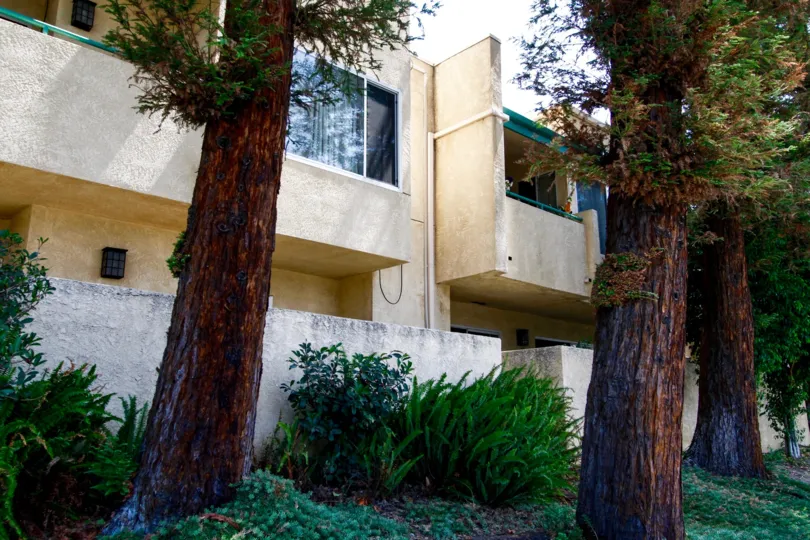 The landscaping that is seen around the 7800 Club building