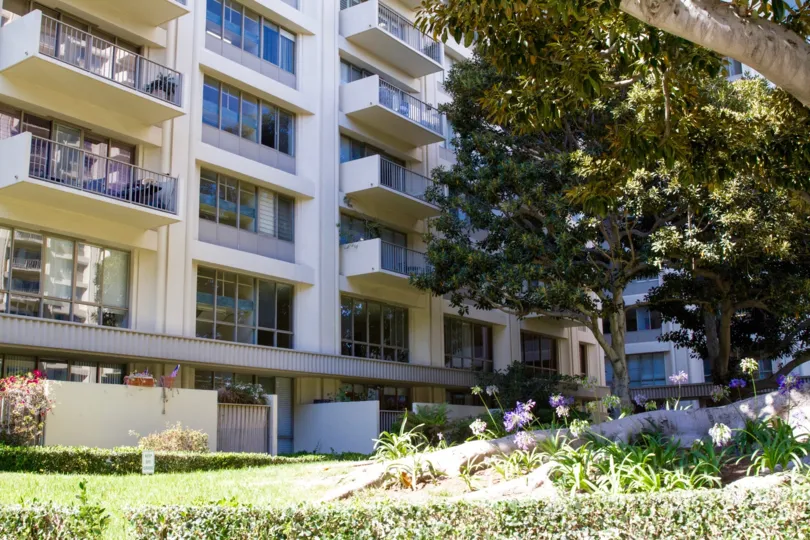 Large magnolia trees surround the Century Park East property