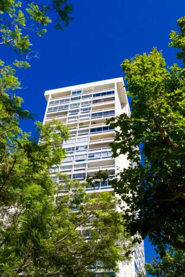 Century Tower is a modern building extending above the tree line
